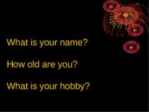 What is your name? How old are you? What is your hobby?