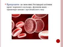 Еритроцити- це невеликі без'ядерні клітини крові червоного кольору, функція я...