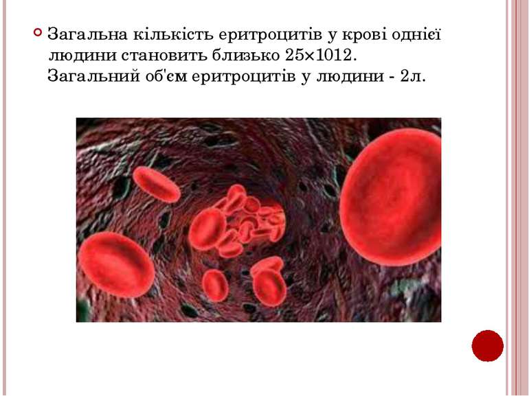 Загальна кількість еритроцитів у крові однієї людини становить близько 25×101...