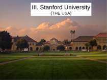 III. Stanford University (THE USA)