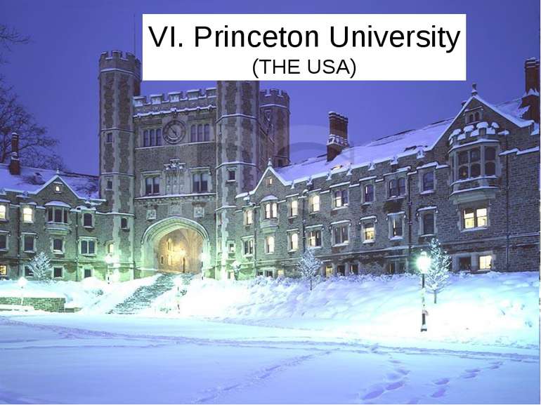 VI. Princeton University (THE USA)