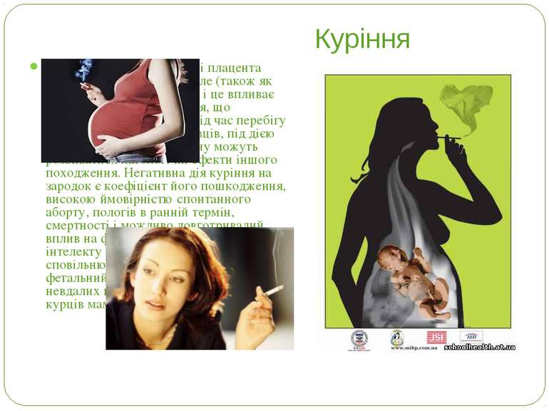 Куріння Відомо, що мати, зародок і плацента складають собою єдине ціле (також...