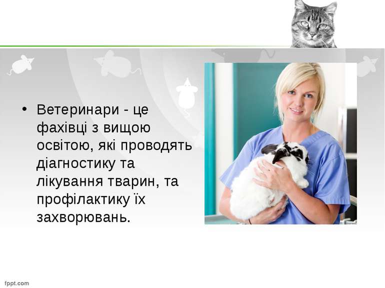 Ветеринари - це фахівці з вищою освітою, які проводять діагностику та лікуван...