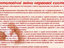 Походження вікових змін нервової системи різне, темп їх нарощування теж різни...