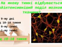 Від 10-18 тижня На якому тижні відбувається найінтенсивніший поділ мозкової т...