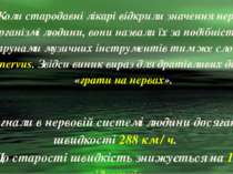 Коли стародавні лікарі відкрили значення нервів в організмі людини, вони назв...