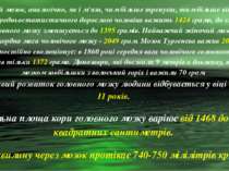 Головний мозок, аналогічно, як і м'язи, чим більше тренуєш, тим більше він ро...