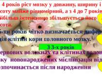 До 4 років ріст мозку у довжину, ширину і висоту майже рівномірний, а з 4 до ...