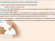 Дослідження функцій черепних нервів у новонароджених представляє складну зада...