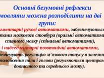 сегментарні рухові автоматизми, забезпечуються сегментами мозкового стовбура ...