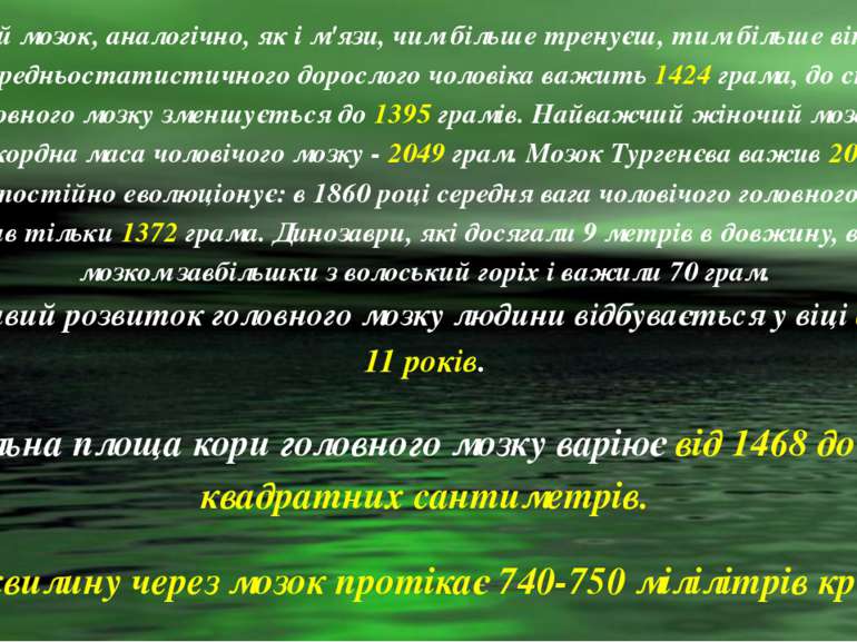 Головний мозок, аналогічно, як і м'язи, чим більше тренуєш, тим більше він ро...