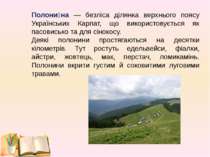 Полони на — безліса ділянка верхнього поясу Українських Карпат, що використов...