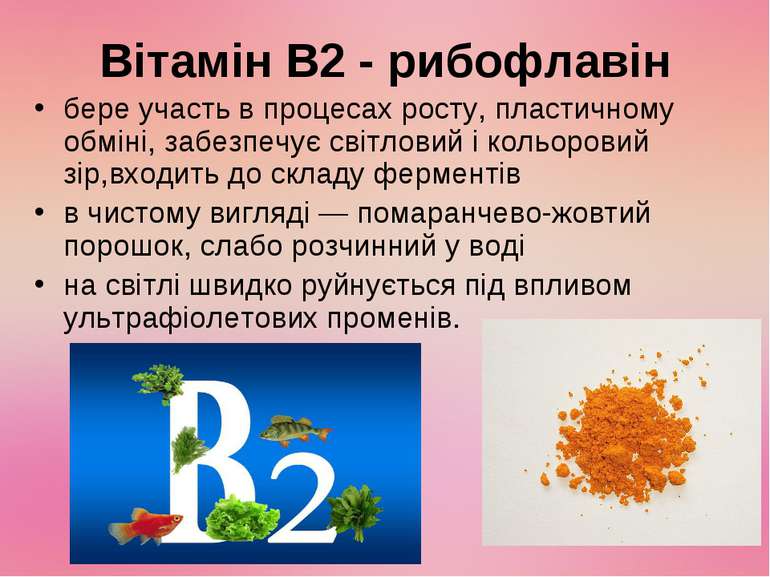 Вітамін В2 - рибофлавін бере участь в процесах росту, пластичному обміні, заб...