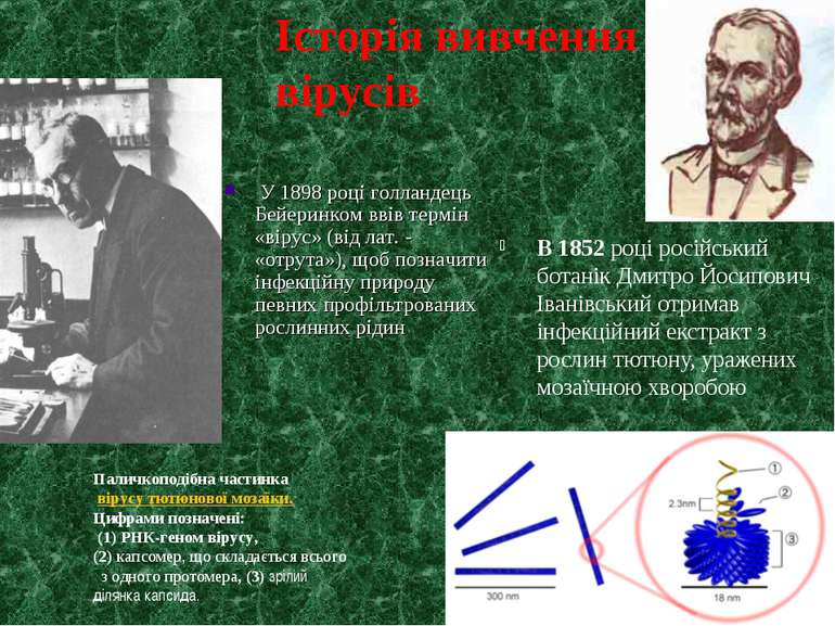 В 1852 році російський ботанік Дмитро Йосипович Іванівський отримав інфекційн...