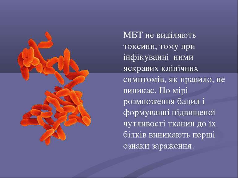 МБТ не виділяють токсини, тому при інфікуванні ними яскравих клінічних симпто...