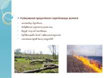 Руйнування природного середовища життя заготовка деревини, добування корисних...