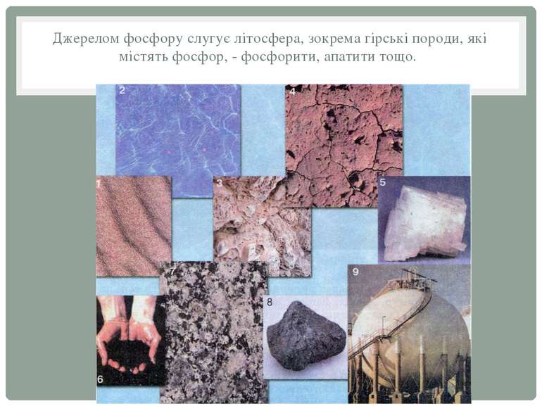 Джерелом фосфору слугує літосфера, зокрема гірські породи, які містять фосфор...