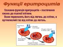 Основна функція еритроцитів – постачання кисню до кожної клітини. Вони перено...
