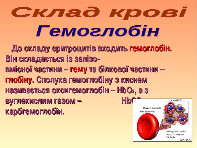 До складу еритроцитів входить гемоглобін. Він складається із залізо- вмісної ...