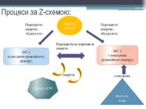 Процеси за Z-схемою: Кванти світла ФС 2 ( електрони реакційного центру) Перед...