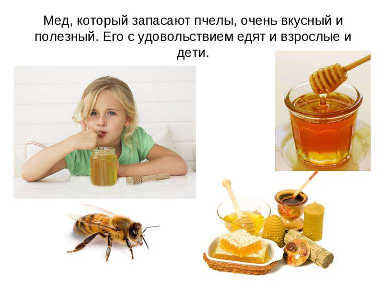 Мед, который запасают пчелы, очень вкусный и полезный. Его с удовольствием ед...