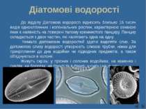 Діатомові водорості До відділу Діатомові водорості відносять близько 15 тисяч...