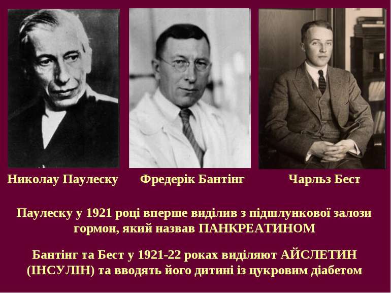 Фредерік Бантінг Николау Паулеску Паулеску у 1921 році вперше виділив з підшл...