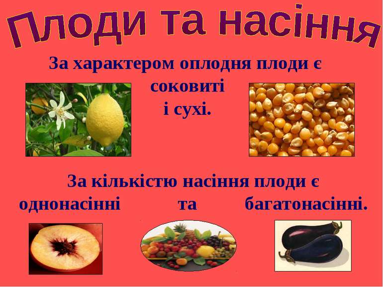 За характером оплодня плоди є соковиті і сухі. За кількістю насіння плоди є о...