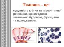 Тканина – це: сукупність клітин та міжклітинної речовини, що об’єднані загаль...