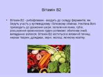 Вітамін В2 Вітамін В2 - рибофламин - входить до складу ферментів, які беруть ...