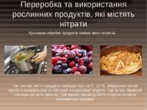 Переробка та використання рослинних продуктів, які містять нітрати Кулінарна ...