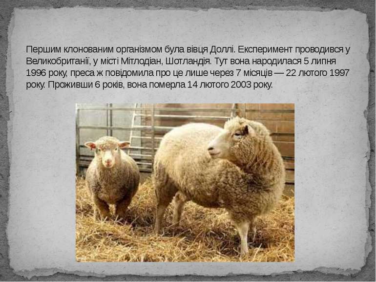 Першим клонованим організмом була вівця Доллі. Експеримент проводився у Велик...