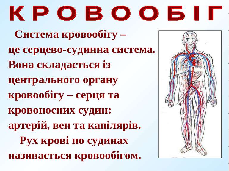 Система кровообігу – це серцево-судинна система. Вона складається із централь...