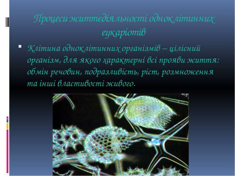 Процеси життєдіяльності одноклітинних еукаріотів Клітина одноклітинних органі...
