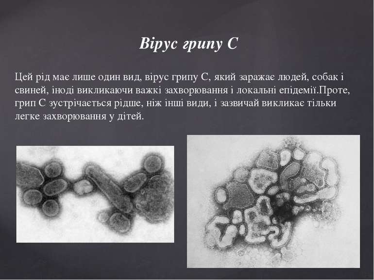 Вірус грипу C Цей рід має лише один вид, вірус грипу C, який заражає людей, с...