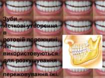 Зуби – кісткові утворення в ротовій порожнині, які використовуються для розку...