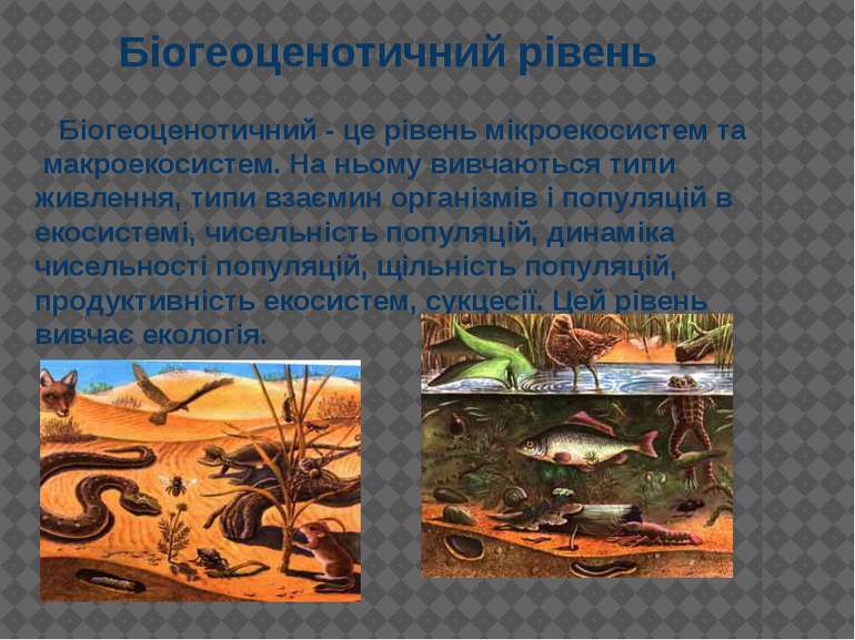 Біогеоценотичний - це рівень мікроекосистем та макроекосистем. На ньому вивча...