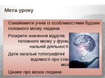 Мета уроку Ознайомити учнів із особливостями будови головного мозку людини. Р...