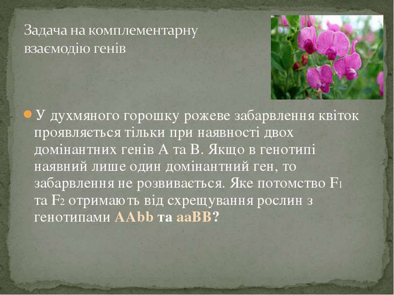 У духмяного горошку рожеве забарвлення квіток проявляється тільки при наявнос...