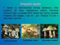 Отруйні гриби У сирому та приготованому вигляді викликають тяжкі отруєння, як...