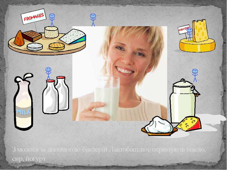 З молока за допомогою бактерій Лактобацілюс отримують масло, сир, йогурт