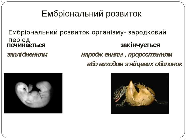 Ембріональний розвиток Ембріональний розвиток організму- зародковий період по...