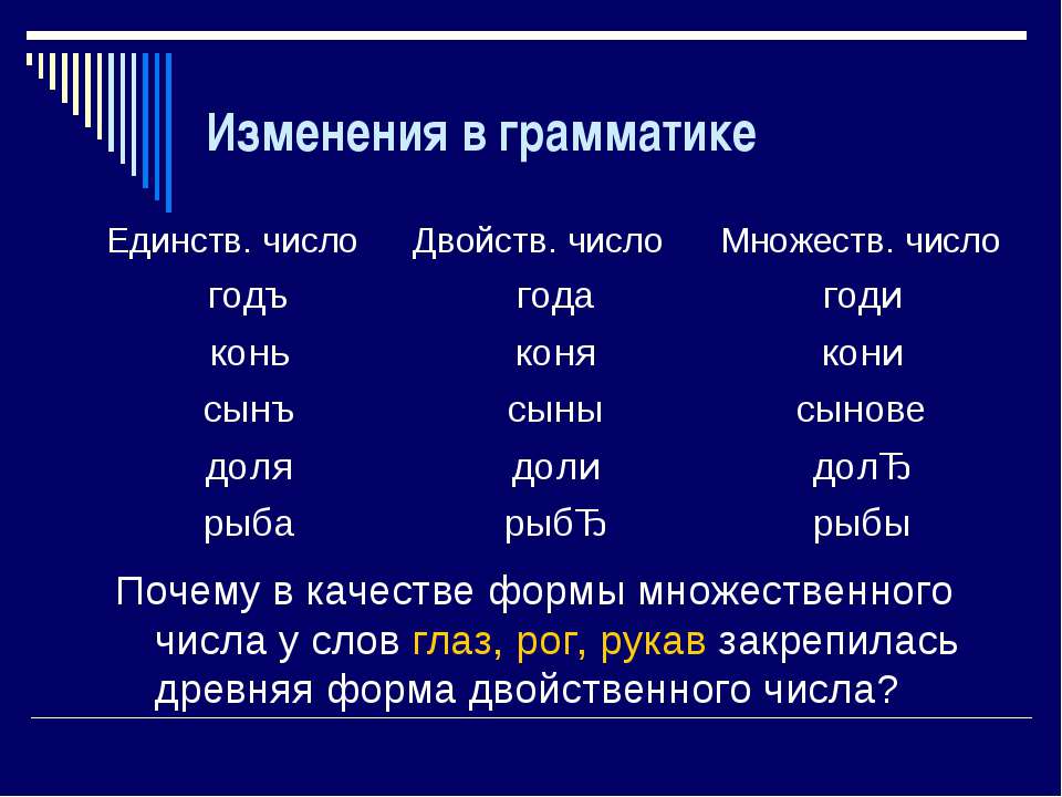 Древнерусский язык существительное. Двойственное число в русском языке примеры. Двойственное число в древнерусском языке. Двойственное число существительных. Местоимения двойственного числа в древнерусском языке.