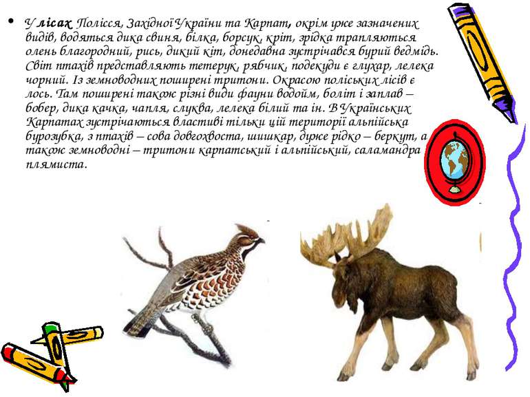 У лісах Полісся, Західної України та Карпат, окрім уже зазначених видів, водя...