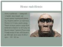 Homo rudolfensis Homo rudolfensis — вимерлий «старий» вид людей, що представл...