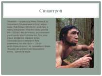 Синантроп Синантроп — форма роду Homo, близький до пітекантропа. Був виявлени...