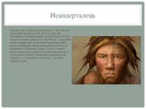 Неандерталець Неандерталець, людина неандертальська — викопний вид пізніх люд...