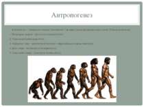 Антропогенез Антропогенез — походження людини і становлення її як виду у проц...