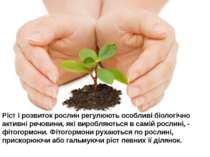 Ріст і розвиток рослин регулюють особливі біологічно активні речовини, які ви...