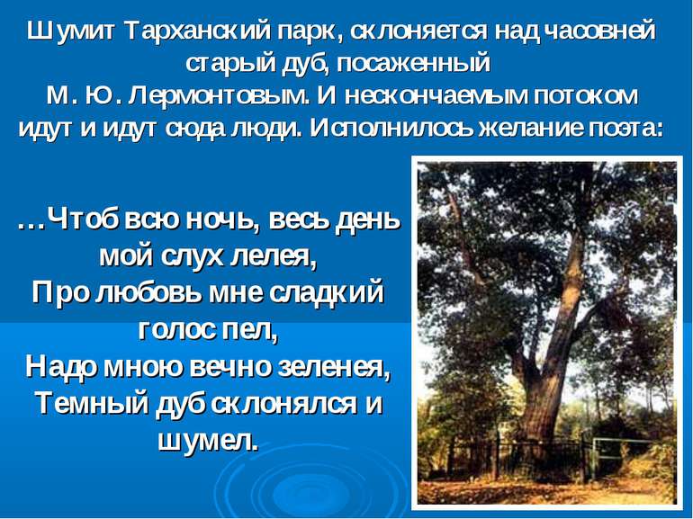 Шумит Тарханский парк, склоняется над часовней старый дуб, посаженный М. Ю. Л...